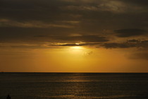 mare